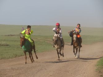 Course pendant le Naadam, sorte de jeux olympiques mongols. Les enfants sont chargés de monter les chevaux.