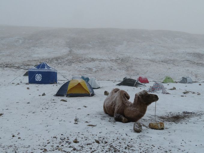 
Camp de base d'Altaï Tavan Bogd.
