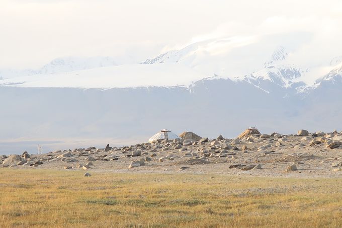 Les Tadjiks n'ont généralement pas de yourtes. Mais, je suis ici dans la région kirghize du Tadjikistan. Les yourtes deviennent presque des rochers comme par mimétisme.