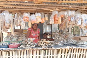 Vendeurs de poissons séchés